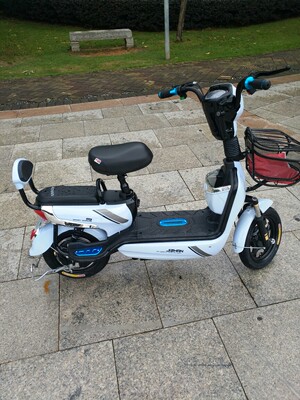 激战新款电动车成人电动自行车48V小型电瓶车男女代步电车电动车