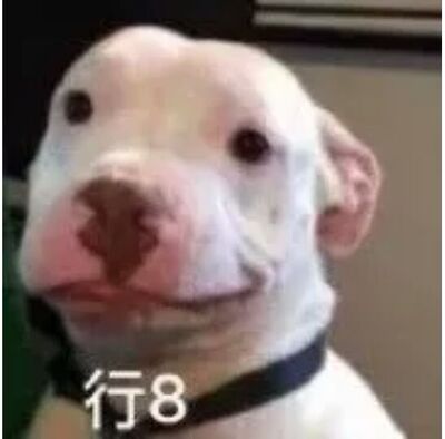 抱歉抱歉 评价晚了 本来打算跑步之后再评价 现在还没穿上运动过 试了一下 按客服和尺码表推荐的尺码应该是正好的 但是可能是运动内衣吧 紧实还好 防震不清楚 但没聚拢 本人胸不算小 所以穿上的胸型有点丑得一言难尽 周一有空去跑步看看8 洗了不掉色