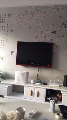 真实使用感受双鸟空气净化器怎么样,曝光了是真假,通过三个月使用看真相