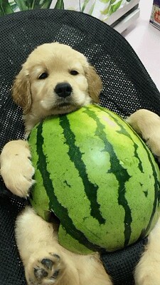 好红红火火恍恍惚惚呵呵哈哈哈好红红火火恍恍惚惚呵呵哈哈哈好红红火火恍恍惚惚呵呵哈哈哈好红红火火恍恍惚惚呵呵哈哈哈