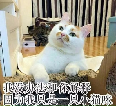 解说正港手表怎么样，真相如何,看过才知