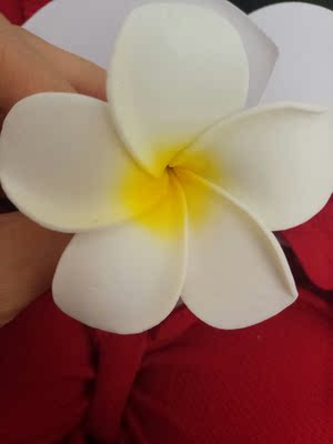 感觉还可以,不知道游泳的话穿起来效果如何,期待。有送小鸡蛋花,我最喜欢的话,对于小胸也还友好。 感觉还可以,不知道游泳的话穿起来效果如何,期待。有送小鸡蛋花,我最喜欢的话,对于小胸也还友好。