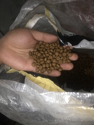 真实使用感受给泰迪吃麦顿狗粮怎么样，好不好？狗狗喜欢吃这个牌子吗