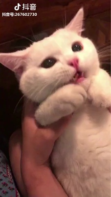 还没穿 好像是秋冬款