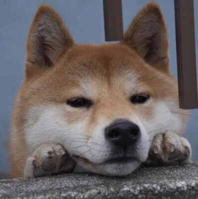 还可以,天气33度左右出门,流汗就会有一点不粘,但不会掉下来。便宜好用,性价比高。 以下可以不看――我一天一天明白你的平凡,同时却一天一天愈更深切地爱你。你如照镜子,你不会看得见你特别好的所在,但你如走进我的心里来时,你一定能知道自己是怎样好法。 还可以,天气33度左右出门,流汗就会有一点不粘,但不会掉下来。便宜好用,性价比高。 以下可以不看――我一天一天明白你的平凡,同时却一天一天愈更深切地爱你。你如照镜子,你不会看得见你特别好的所在,但你如走进我的心里来时,你一定能知道自己是怎样好法。