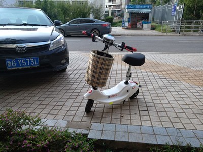 体验raldey电动车怎么样,这个是什么牌子?电池续航能力好吗?