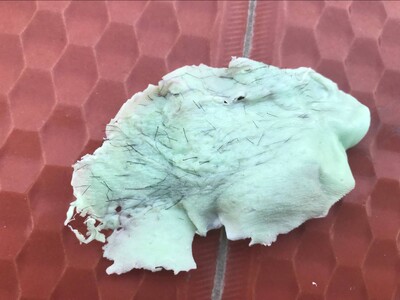 把私处的毛都处理干净了，真的很爽，之前用了脱毛膏，走路都觉得很扎，很难受，这个脱了没有黑根的，应该能保持很久，送的工具比较齐全，菲妈很耐心的告诉方法，值得推荐