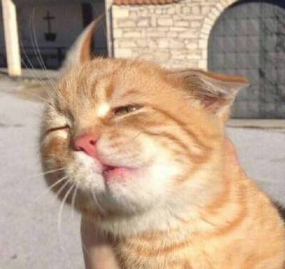 宝贝很满意，快递也很快，穿上去也很舒服，很喜欢，喜欢，喜欢。