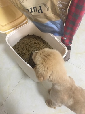 如何评价给狗狗用百井坊狗粮怎么样，好不好？这个牌子靠谱吗？