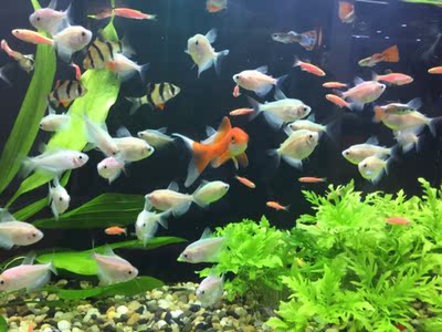 好好好好好好好好好好好好好好好好好好纠结好好好好好好好好好好好好好好好好好好好好好好好好好好好好好好好好好好好好好好好好好好好好好好好好好好好好好好好好好好好好好好好好好好好好好好好好好好好好好好好就好好好好好好好好好好好好h