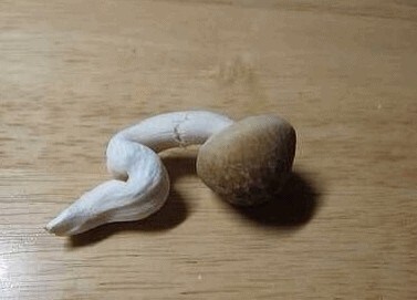 挺好的。该怎样来爱你让我计数这些方式。 我爱你直到我的灵魂所能触及的深度，广度和高度。我视线之外摸索着，存在的极致和优雅的思想。爱你， 如同日常所需一样必不可少自由地爱你，如同人们奔赴正义我纯洁地爱你，如同人们躲避颂扬爱你，用那将我陷入往昔痛苦的激情 我爱你，用我童年的忠贞。爱你，我原以为那种虔诚早已随圣徒的消失而逝去我爱你，用我的呼吸，我的微笑，我的眼泪的整个生命来爱你