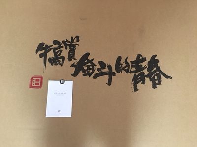 暴风 55X3 55英寸4k高清人工智能语音液晶网络wifi电视tv50 49 60