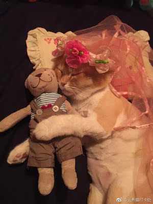 挺好的,就是有些味道,我洗了两次,内裤偏小 挺好的,就是有些味道,我洗了两次,内裤偏小