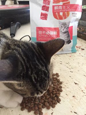 海瑞特猫粮对比评价怎么样,看过才知海瑞特猫粮评价是真假,真相揭秘,