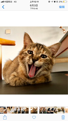 好好好好好很好很好好好好很好很好很好很好很好很好很好好好好好好很好很好好好好很好很好很好很好很好很好很好好好好好好很好很好好好好很好很好很好很好很好很好很好好好好好好很好很好好好好很好很好很好很好很好很好很好好好好好好很好很好好好好很好很好很好很好很好很好很好好好好好好很好很好好好好很好很好很好很好很好很好很好