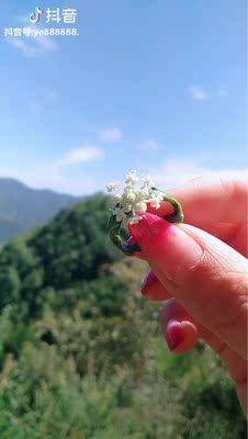 非常满意非常喜欢，还送了小礼物，还会再来。五星好评！！！满意！！！