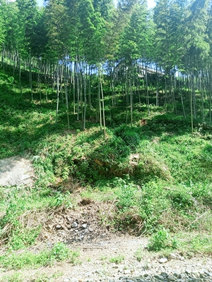 好好好好好好好好好好好好好好好好好好好好好好好好好好好好好好好好好好好