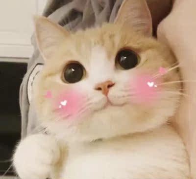 色差我觉得实物还要好看一些 真的蛮耀眼的一个色 质量我当时担心不好 收到了有点惊喜 很舒服 而且游完泳洗了晾干也是原样游泳穿一个夏天完全没有问题 色差我觉得实物还要好看一些 真的蛮耀眼的一个色 质量我当时担心不好 收到了有点惊喜 很舒服 而且游完泳洗了晾干也是原样游泳穿一个夏天完全没有问题