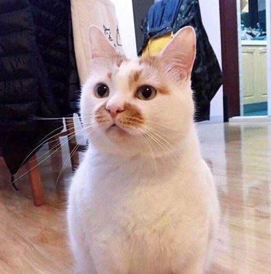 好看好看很好看 因为我比较白所以没有觉得很显黑啊 比较青春很好看 质量也很好 喵喵喵喵喵喵喵喵喵喵喵喵喵喵喵喵喵喵喵喵喵喵喵喵喵喵喵喵喵喵喵喵喵喵喵喵喵喵喵喵喵喵喵喵喵喵喵喵喵喵喵喵喵喵喵喵喵喵喵喵密密麻麻密密麻麻喵喵喵喵喵喵