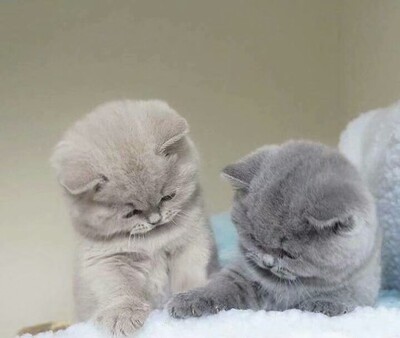 看评价好多人说紧，买回来有点担心，但是穿上大小正好，还有点松，原来我腿还不算粗，真是超级开心，很满意的一次购物。