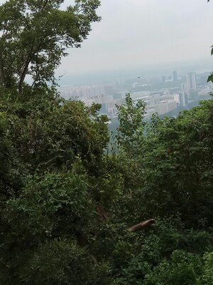 尺码刚好合适！穿上舒适感非常好，很满意的一次购物，就不上实物图了!   你懂的！！！！价格也不贵！