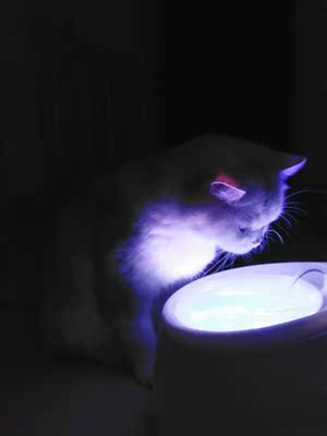 这件穿着很舒服的啦  大小也买的合适不会空杯 也不会勒 我是小胸嘿嘿嘿  内衣很软诶  满意！！！！耶耶耶耶耶耶耶耶耶耶耶耶耶耶耶耶耶耶耶耶耶耶耶耶耶耶耶耶耶耶耶耶耶耶耶耶耶耶耶耶耶耶耶耶耶耶耶耶耶耶耶耶耶耶耶耶耶耶耶耶耶耶耶耶耶耶耶耶耶耶耶耶耶耶耶耶耶耶耶耶耶耶耶耶耶耶耶耶耶耶耶耶耶耶耶耶耶