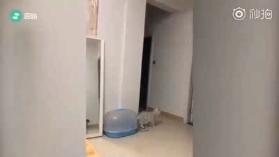 肩带部分很惊艳 可以放肆露 面料的话 没有他们家另外一款ck的舒服 我是75c 这个好像小了点 再入手一盒大一码的 还可以 价格也还比较实惠 我是我们村第一个在网上上买东西的人。这里大部分人是不网购的。他们买东西价格一般不超过五块,听说我在网上买东西后,整个村都震惊了,村长跑到我家里对我爸说我是不是疯了? 说这日子没法过了,让我出去租房子住,面对重重压力,我坚持要买。我相信我这个月的工资不会白花,终于快递我怀揣着激动的心情,颤抖的打开包裹,那到了,感觉我的眼都要亮瞎了,啊..这颜值、这一霎那,手感、这质量、只怪我读书少,无法用华丽的语言整个村都来形容它。我举着它,骄傲的站在村口,他们就跳井,吓得我赶紧收起宝贝,挤出人群落荒而逃。为测试我立刻去我们村高达100米山上村长家客厅里测试宝贝效果,用完后,在全村人羡慕的目光中,仰首挺 胸扬长而去。 肩带部分很惊艳 可以放肆露 面料的话 没有他们家另外一款ck的舒服 我是75c 这个好像小了点 再入手一盒大一码的 还可以 价格也还比较实惠 我是我们村第一个在网上上买东西的人。这里大部分人是不网购的。他们买东西价格一般不超过五块,听说我在网上买东西后,整个村都震惊了,村长跑到我家里对我爸说我是不是疯了? 说这日子没法过了,让我出去租房子住,面对重重压力,我坚持要买。我相信我这个月的工资不会白花,终于快递我怀揣着激动的心情,颤抖的打开包裹,那到了,感觉我的眼都要亮瞎了,啊..这颜值、这一霎那,手感、这质量、只怪我读书少,无法用华丽的语言整个村都来形容它。我举着它,骄傲的站在村口,他们就跳井,吓得我赶紧收起宝贝,挤出人群落荒而逃。为测试我立刻去我们村高达100米山上村长家客厅里测试宝贝效果,用完后,在全村人羡慕的目光中,仰首挺 胸扬长而去。