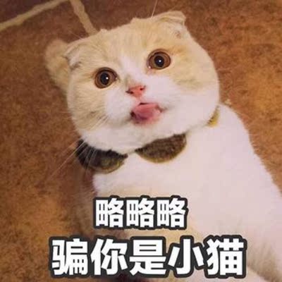 对应标题 对应标题