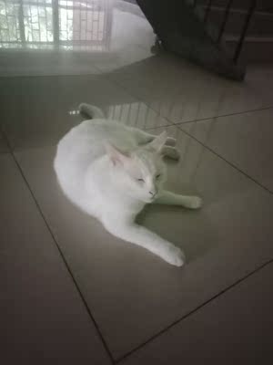 还好叭，我今天穿了，感觉有些边角有点硬，就是有点硌，其他还好，