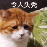 用过以后来评论 两边有点勒 感觉不是很透气有点闷 价钱放在这儿了 还行吧 算是满意了 用过以后来评论 两边有点勒 感觉不是很透气有点闷 价钱放在这儿了 还行吧 算是满意了