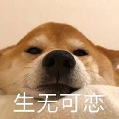 送给女友的分手礼物,难过的不行!忍着悲痛的心情我还是评论一下吧,东西好不好不知道,因为只有前任知道,我能说就是包装挺精致的,要不我打个电话问问前任使用评价?还是算了吧,万一一打电话内心更伤感。T_T 送给女友的分手礼物,难过的不行!忍着悲痛的心情我还是评论一下吧,东西好不好不知道,因为只有前任知道,我能说就是包装挺精致的,要不我打个电话问问前任使用评价?还是算了吧,万一一打电话内心更伤感。T_T