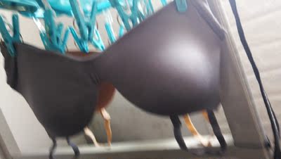 这是一个好评模板，因为本仙女很懒，不想每个产品都写好评，所以特地模仿好友写下这个模板，但是这个产品无论是质量还是外形都是本仙女喜欢的类型，如果不喜欢，仙女收到东西会很生气，然后这个模板就会成为仙女喋喋不休的休书，自然不可能撒下这个好评，给各位淘友一个参考，本产品还是极好的，&mdash;&mdash;来自一位慵懒的只爱购物不爱写评语却想换积分的仙女！ 好吧，说真的，很好，喜欢。