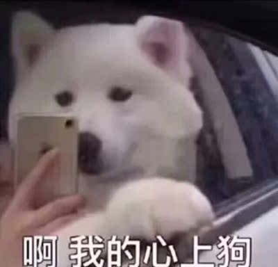 对应标题 对应标题
