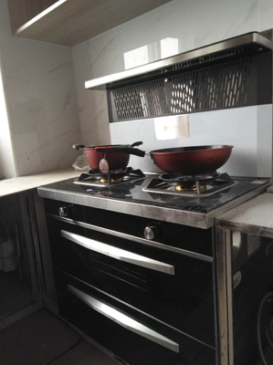 解说蚂蚁小斯集成灶怎么样，好不好用？是哪个厂家的品牌？