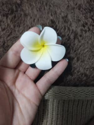 质量挺好的 送的小花好可爱 质量挺好的 送的小花好可爱