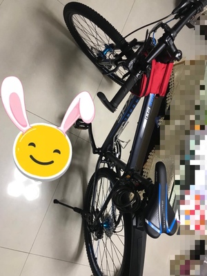 点评喜德盛逐日600山地自行车怎么样,逐日600配置和评测好吗?