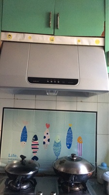 帅康MD01中式抽油烟机壁挂式顶吸油烟机老式大吸力家用特价油烟机