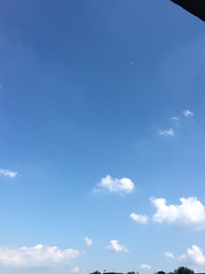 满意，老顾客了，秋冬款入的比较多，这条之前也拍过几次，这次一共拍了四件宝贝，就不一一评价了，祝店家生意兴隆~