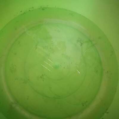 我感觉买这个衣服感觉不是买来穿的是锻炼我自己的忍耐力的！！！  家住凤凰城 2018-2-8 14:32:14  过水四次还这样 帕兰朵上海专卖店:售前2 2018-2-8 14:33:44  亲 你再多清洗几次后就不会有了呢 再清洗四五次 如果还有 你可以年后寄回来