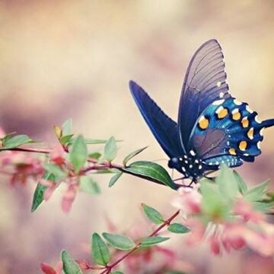 刚收到期待效果吧