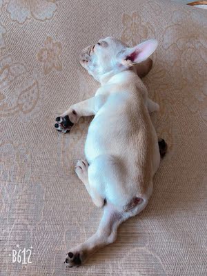 已经穿了几天了 蹦蹦跳跳不会掉 特别安全 聚拢效果也特别好 洗过后也没有出现变形缩水的问题  非常满意的一次网购 物超所值啊