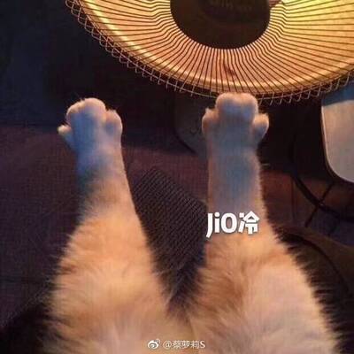 雅维里受朱利奥&middot;德&middot;梅迪奇(Giuliode&rsquo;Mcdici)的委托撰写《佛罗伦萨史》，从北方民族入侵，罗马帝国衰亡到科斯莫&middot;德&middot;梅迪奇止(379&mdash;1492年)。写作的主导思想仍然是探索&ldquo;经过了一千年的辛勤劳苦之后，佛罗伦萨竟然变得这么衰微孱弱，其原因究竟何在&rdquo;。马基雅维里批评过去的佛罗伦萨历史学者详述对外战争，而忽略内争