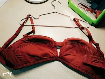 颜色砖红色很美腻,小胸不空杯,肩带一体式。刚刚从晾衣架上拿下来,很棒哟 颜色砖红色很美腻,小胸不空杯,肩带一体式。刚刚从晾衣架上拿下来,很棒哟