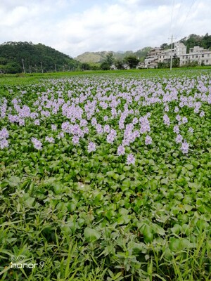 收到了,一般般啦,习惯好评。 收到了,一般般啦,习惯好评。