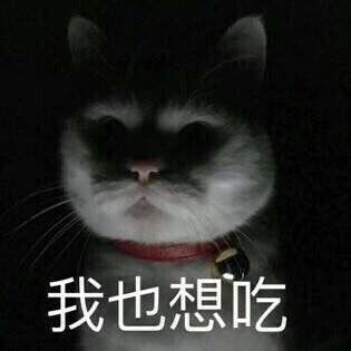 听说好评必须85字？不然没有积分？那么问题来了，怎么样才可以达到85字呢？这个问题在我的脑海里久久不去。马云爸爸怎么可以这样欺负我？不给我买冰阔洛也就算了，还让我一个二年级的小学生评论一定要写85字，哼！好过分啊，一定要记在小本本上！￣へ￣