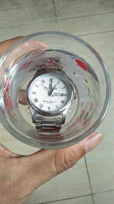 目前看来瑞之缘手表怎么样，真相如何,看过才知