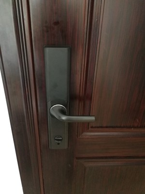 Re:使用内幕揭秘德施曼的s8和S8P哪个好??大家评测一下德施曼的s8和S8P区别是什么 ..