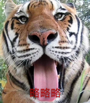 买了三个，&hellip;&hellip;&rarr;_&rarr;这个是三个里面看起来最廉价的了，颜色好亮，然后整个摸起来旧旧的，是不是被换过？？？其他两个没问题，懒得退了就这样吧 而且这种颜色，夏天穿白衣服很容易透的