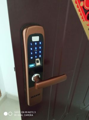 吐槽门锁用MARIE玛丽智能指纹锁怎么样,安全吗,是德国牌子吗?
