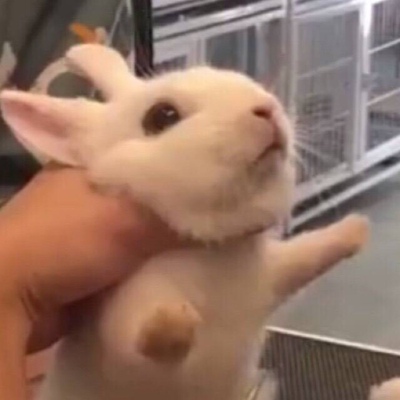 不错我很喜欢 舒适 布料也挺舒服的